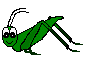 grasshopper