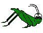 grasshopper