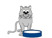 Cat Drinking Milk